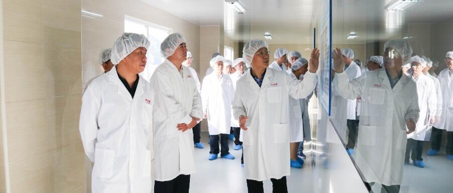 GDAS delegation visits United Lab