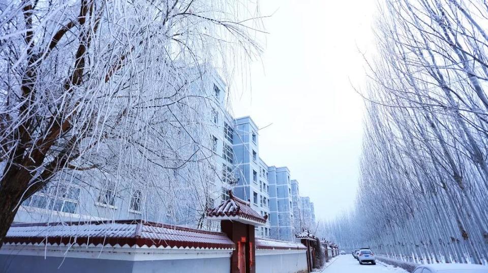 微信截图_20200201162631.jpg