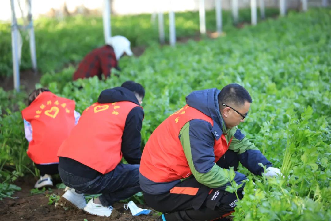 爱心助农，我们在行动！